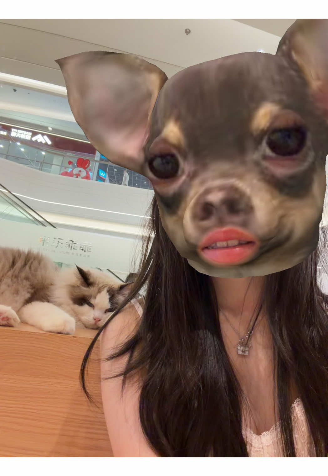 @samme