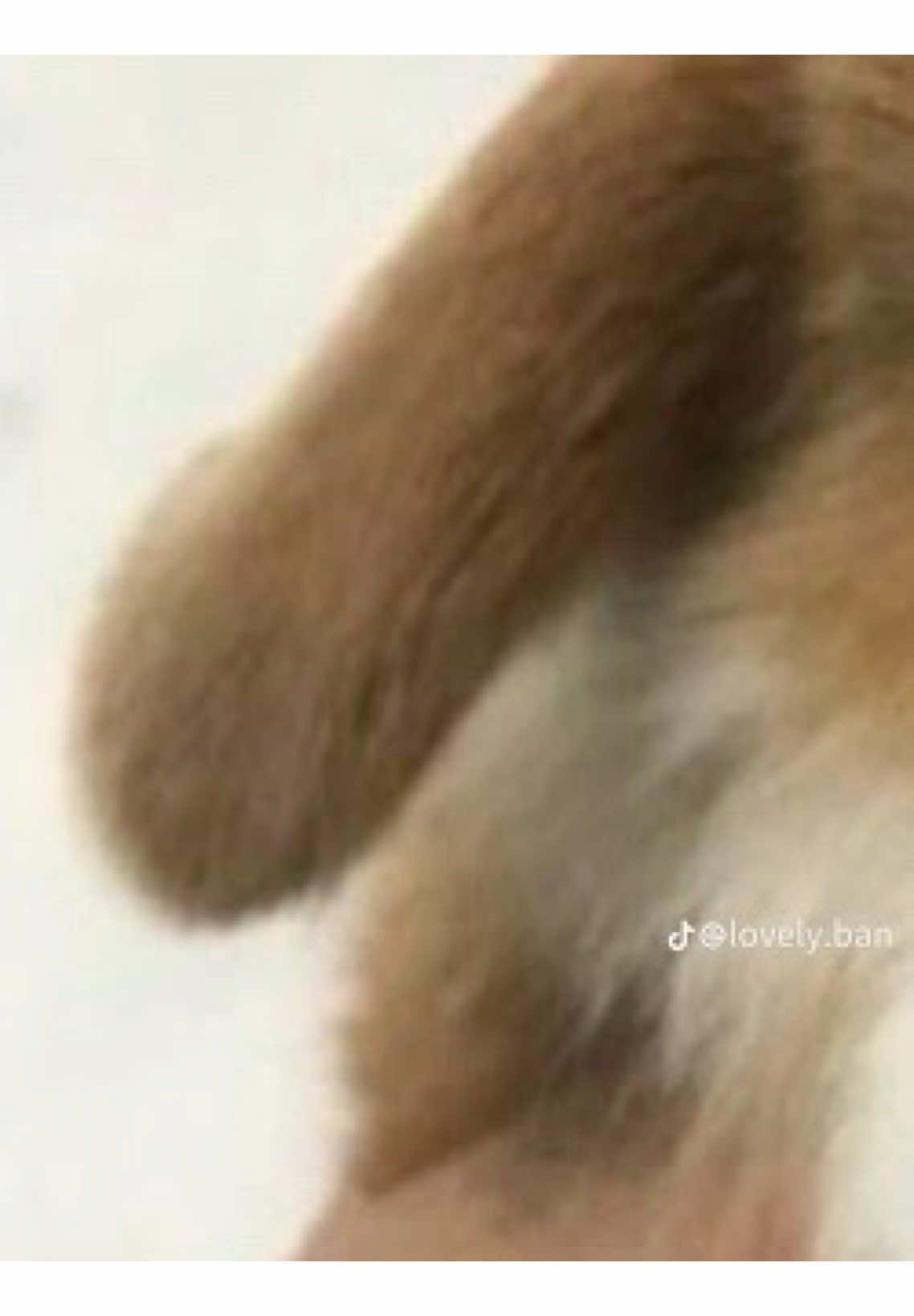 @๐ง๐๐ง๐โ๐พ°
