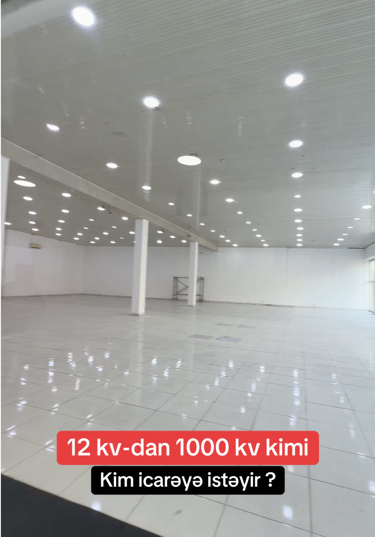 @Makler Kamandar