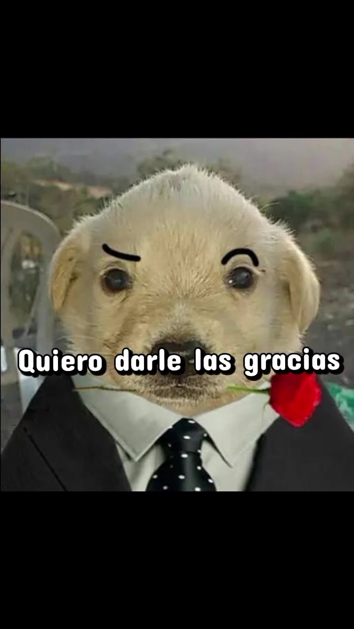 @Flaca