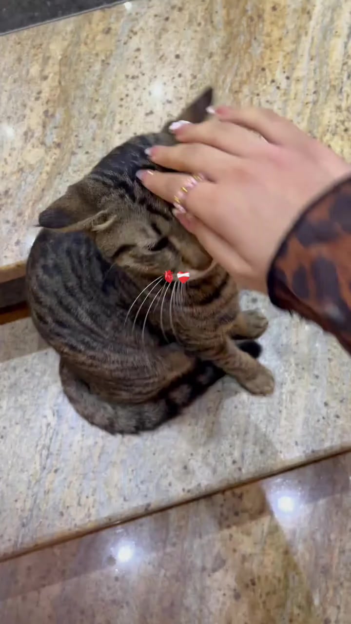 @๐ง๐ปโ๏ธìk rãm๐ชผ