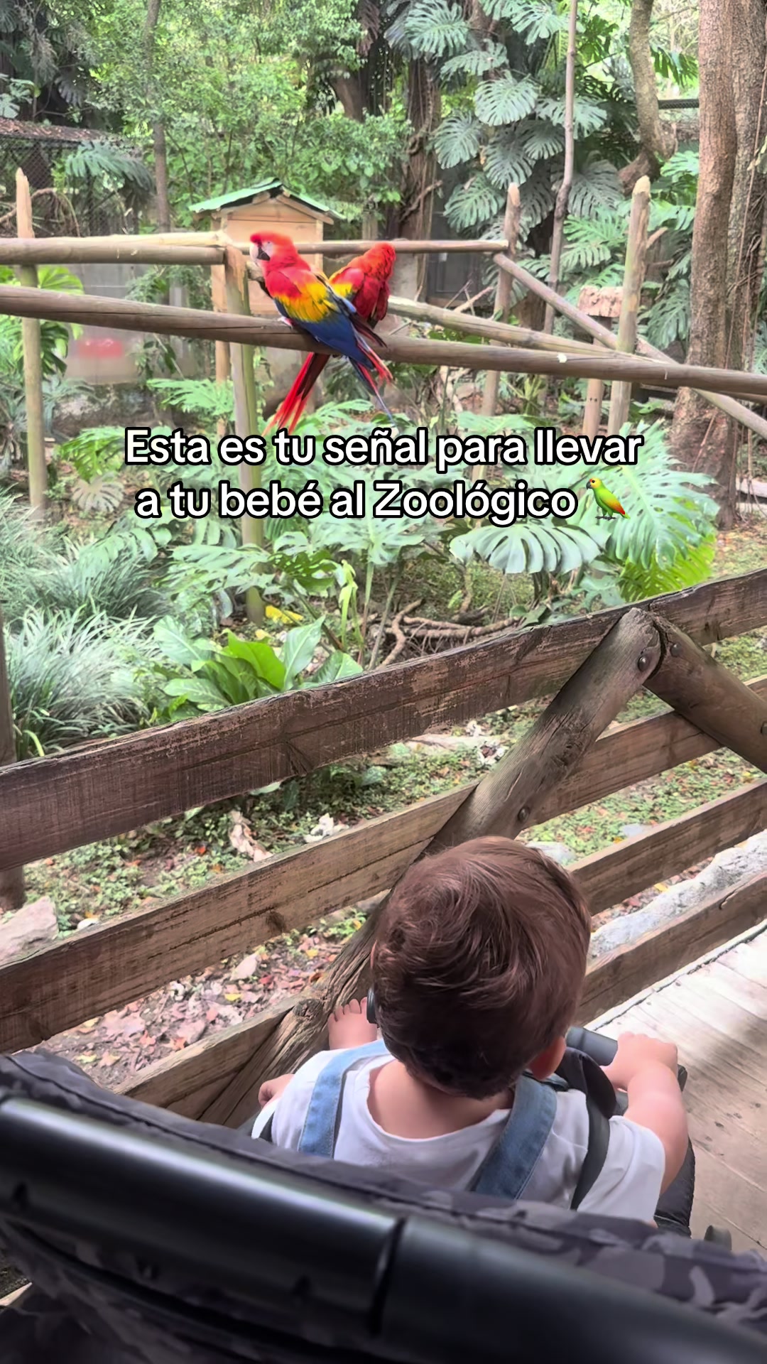 @Ana Gaviria