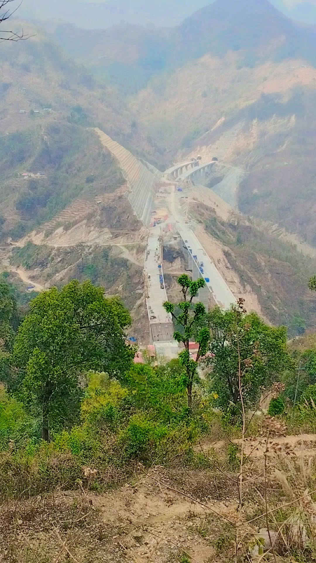 @𝗠𝗣 𝗦𝘂𝗯𝗲𝗱𝗶