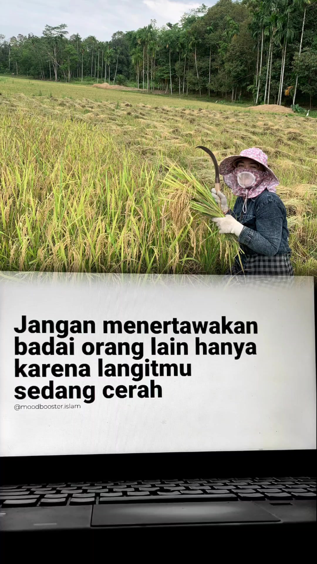@neng gelis