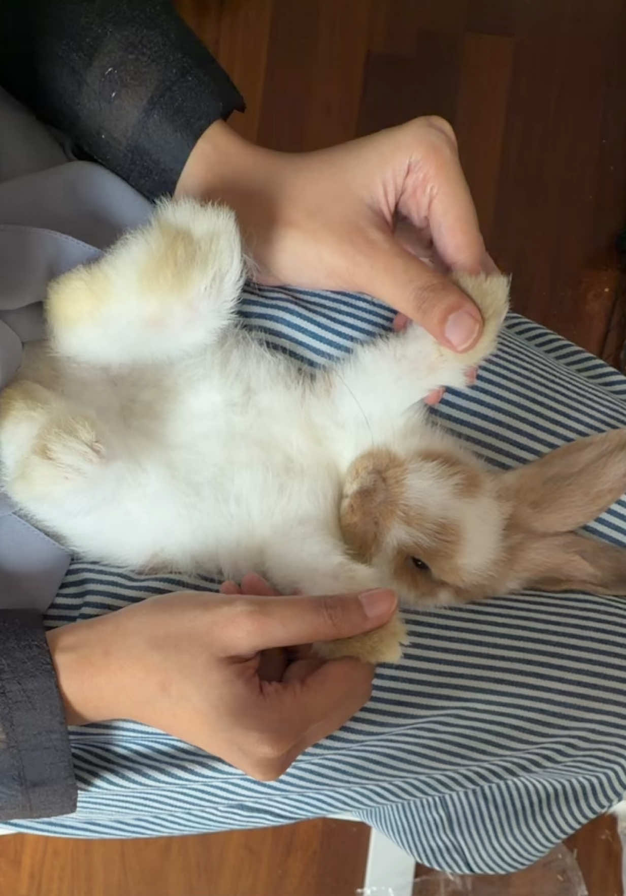 @Azula Cinta