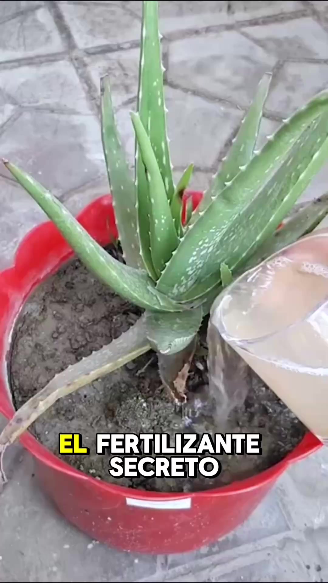 @Tu jard&iacute;n en casa