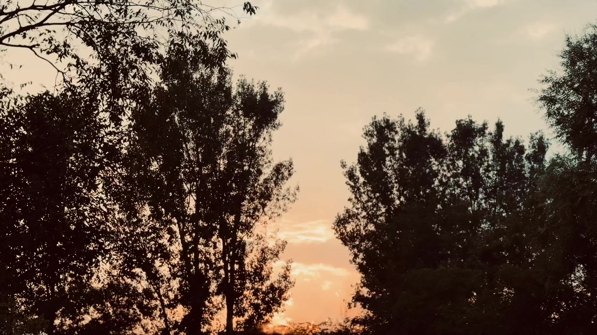 @ALoنE🍃