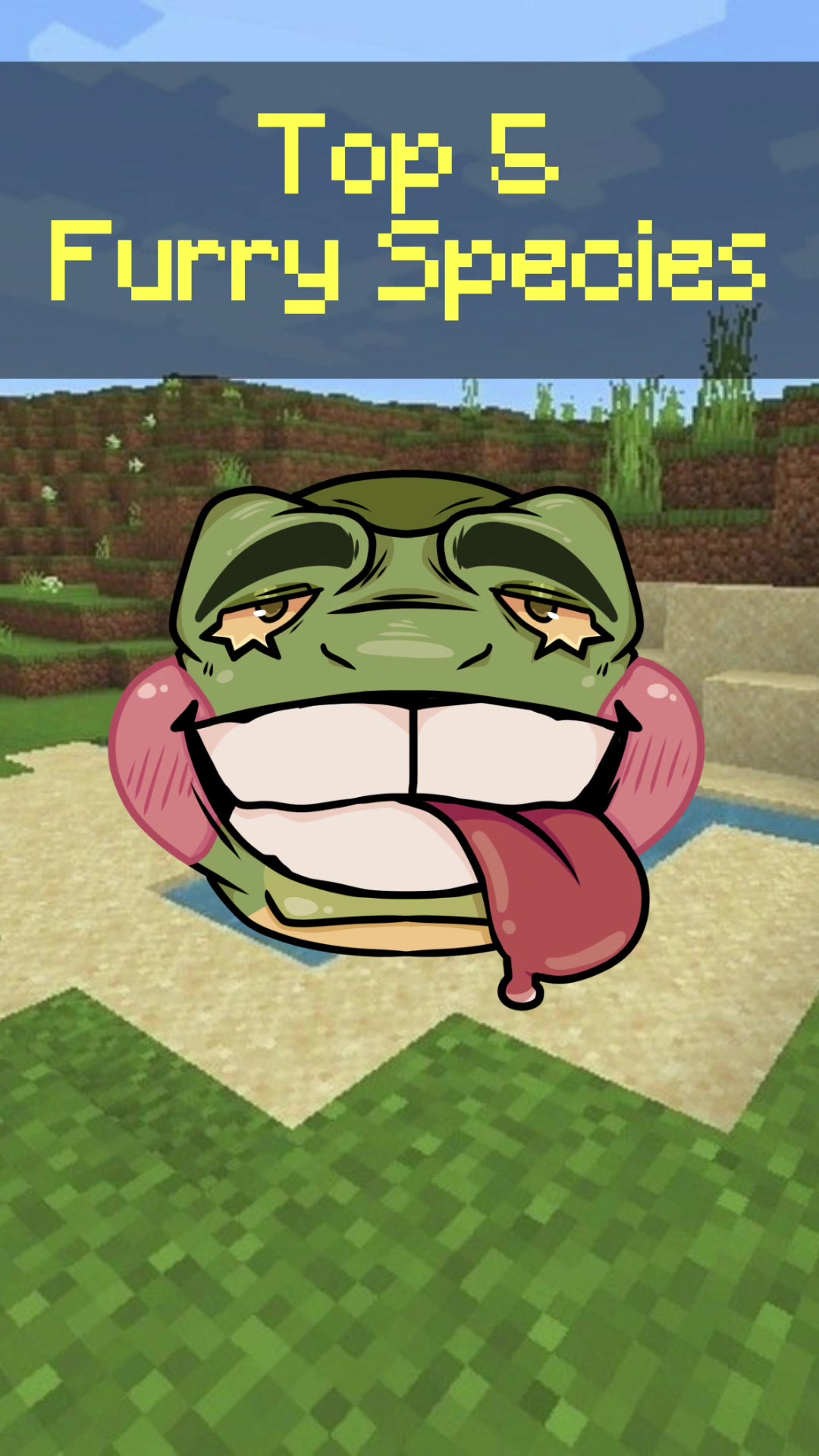 @princefrogman VA/VI