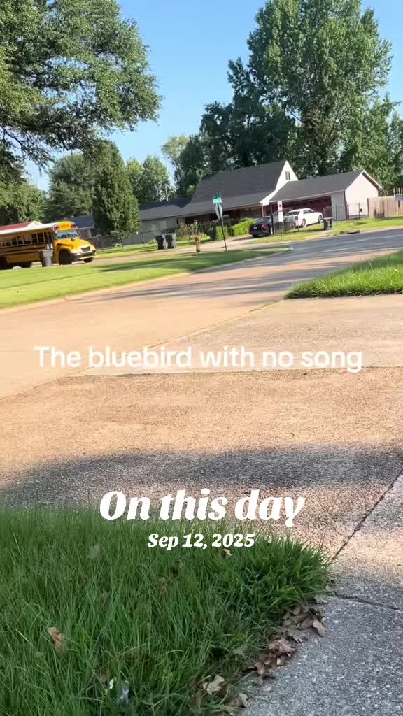 @Bluebirdbus302