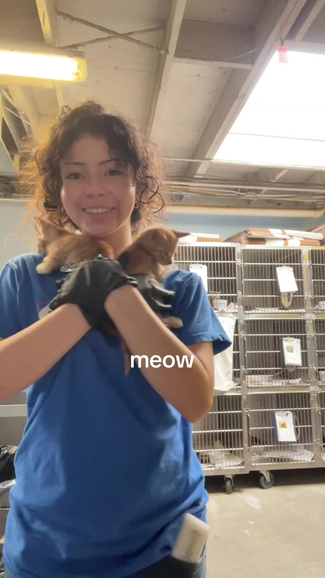 @melitaa