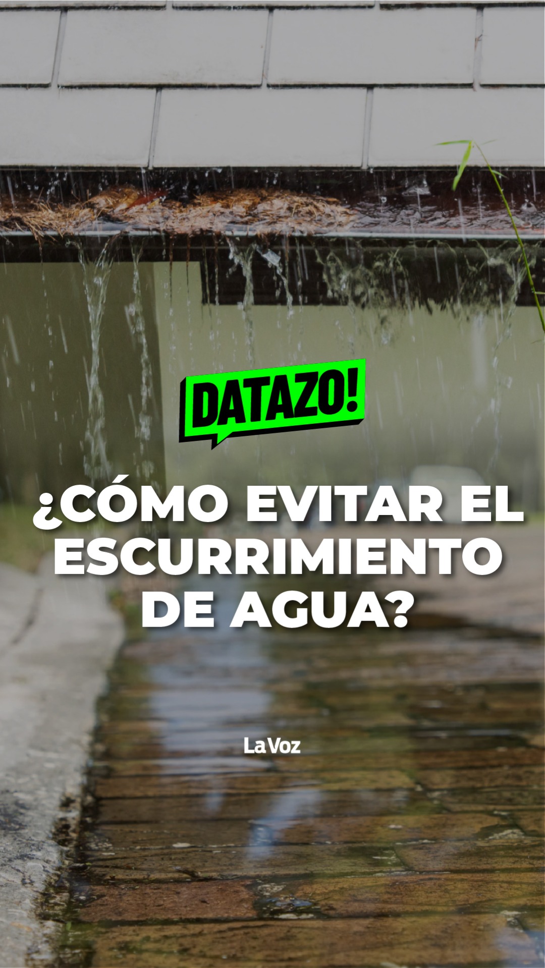 @lavozcomar