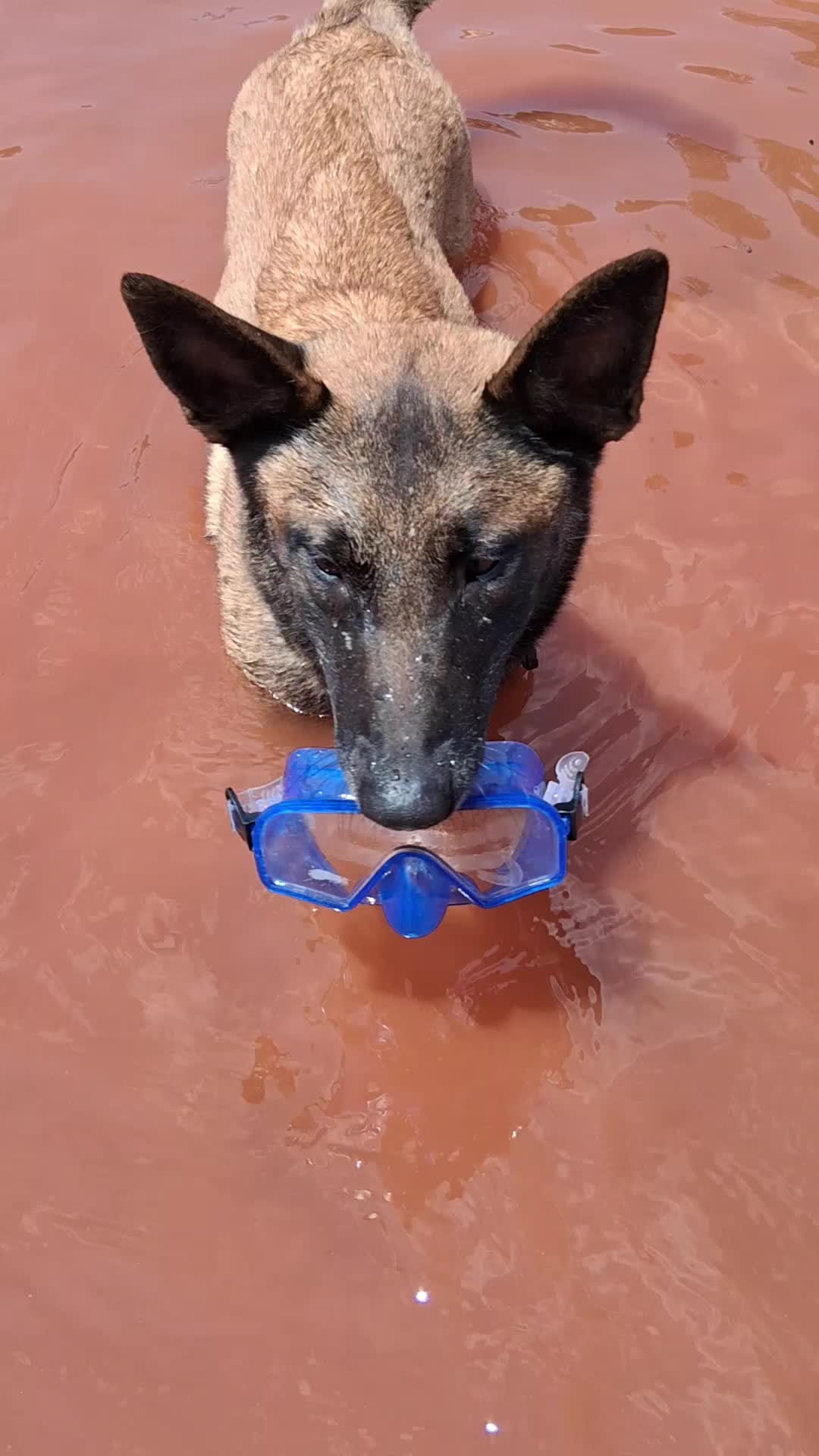 @Natalie Thatmalinoislady