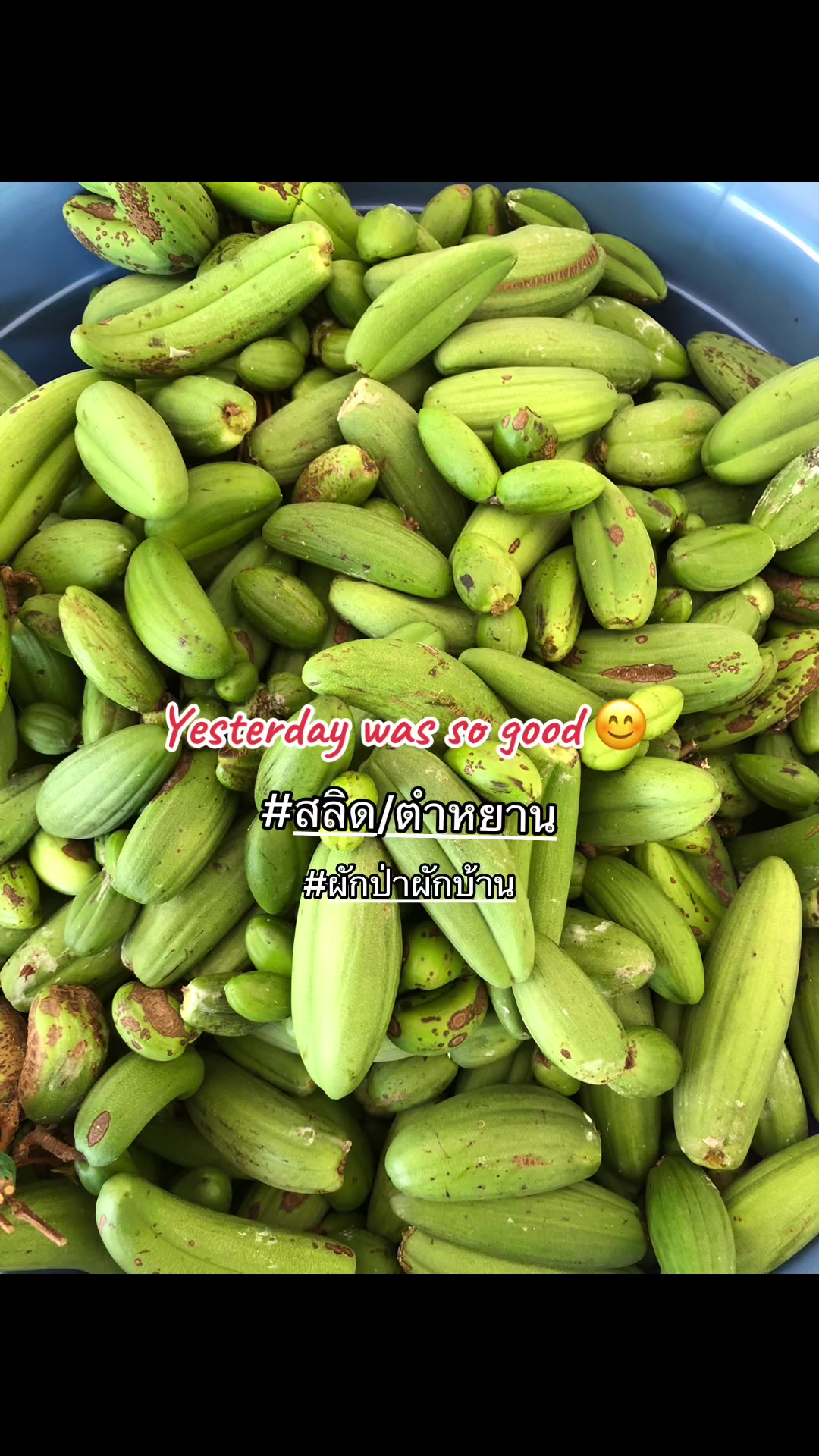 @🌿เจ๊ต่าย ขายผักป่าผักบ้าน🌿