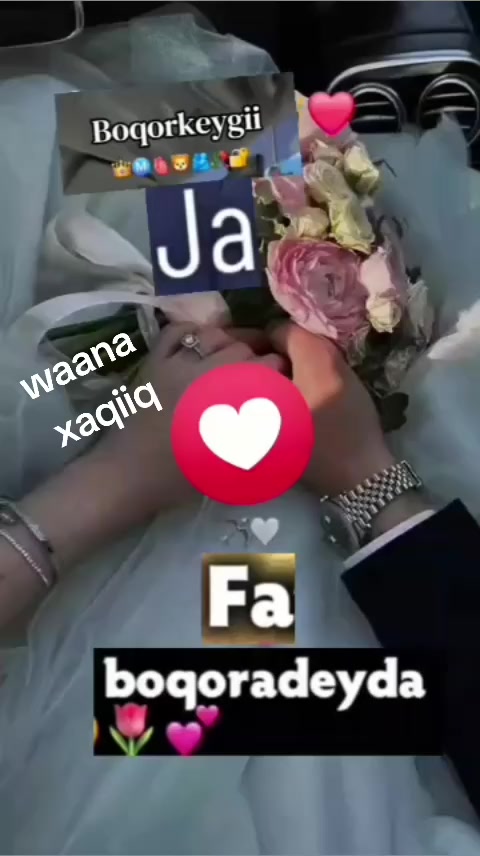 @Dr daacad_4115