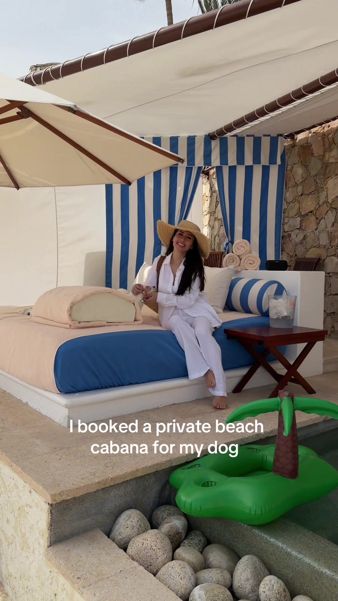 @Bao the Chihuahua