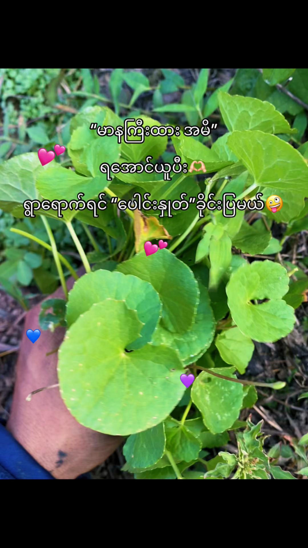 @user229375442