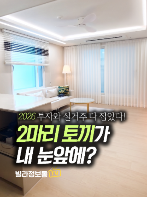 @빌라정보통