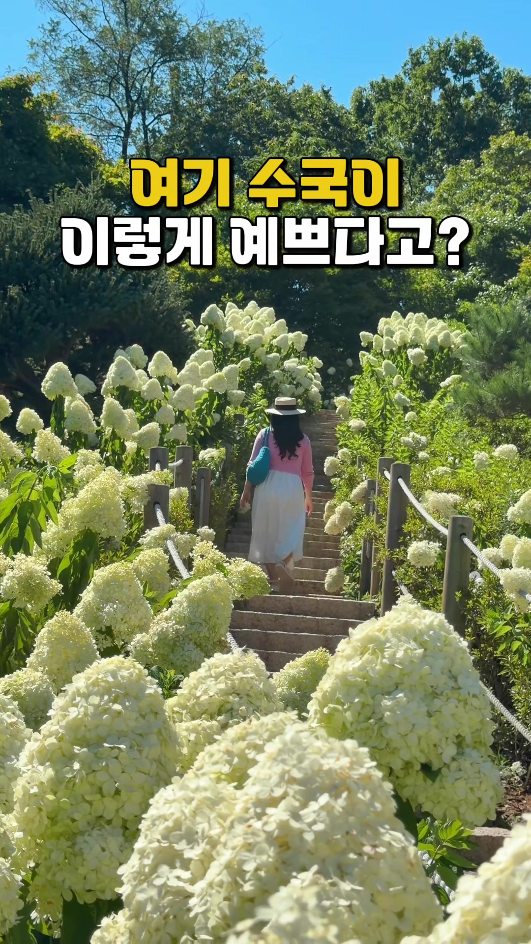 @킴보