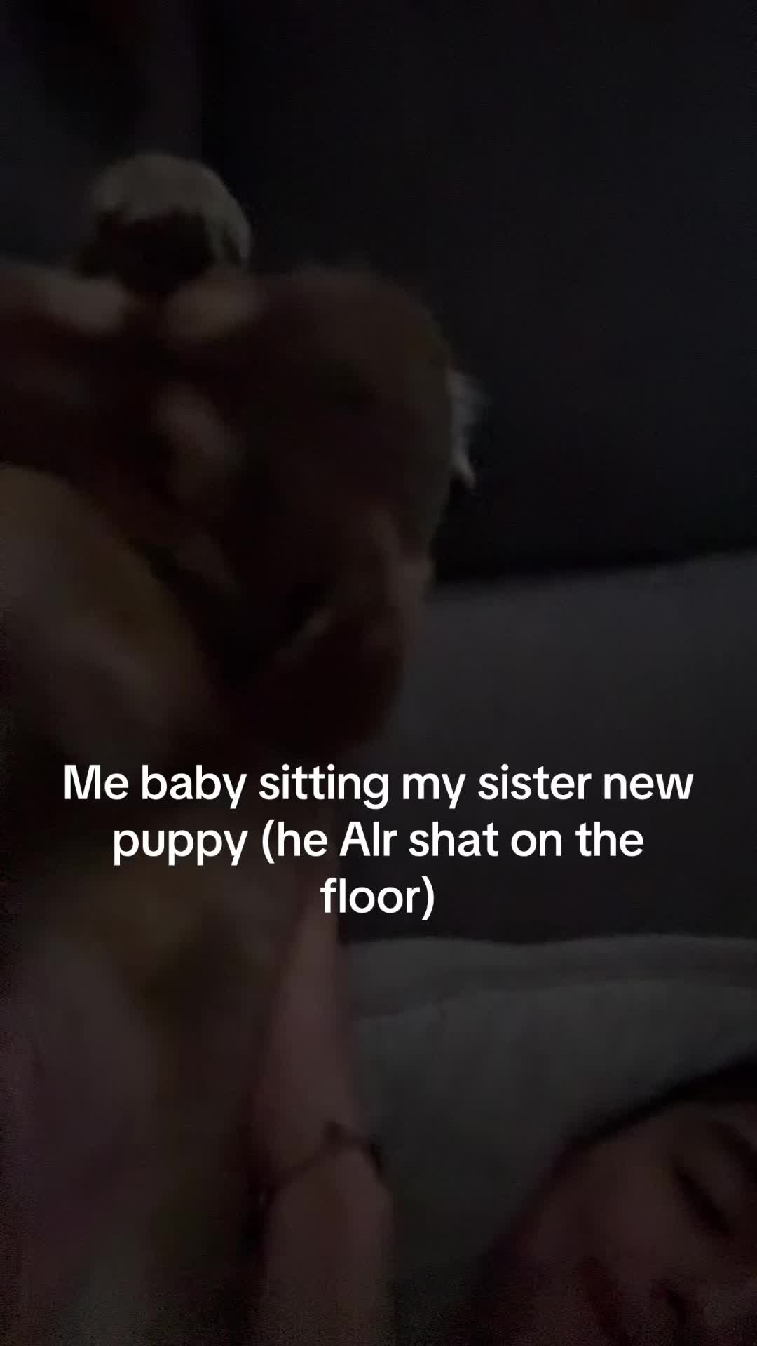 @mikeyviveiros907