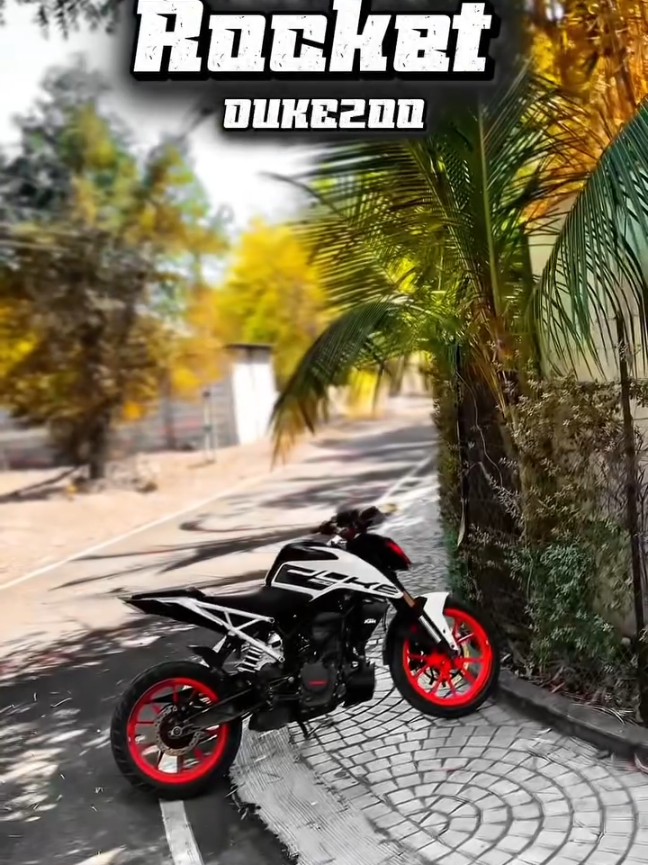 @Ziddi_Rider6919_'