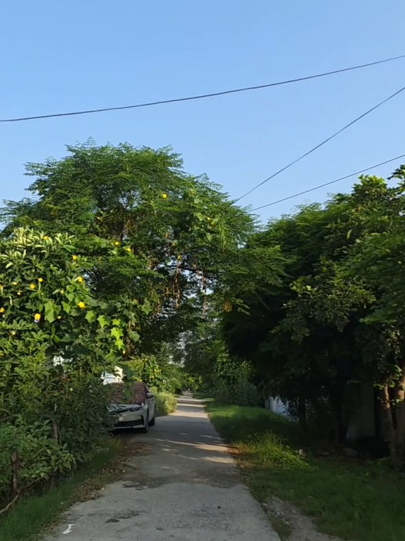@Wah Cantt and Taxila