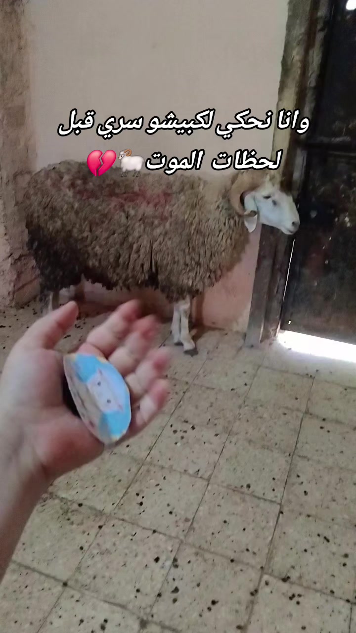 @Maria💛🦢