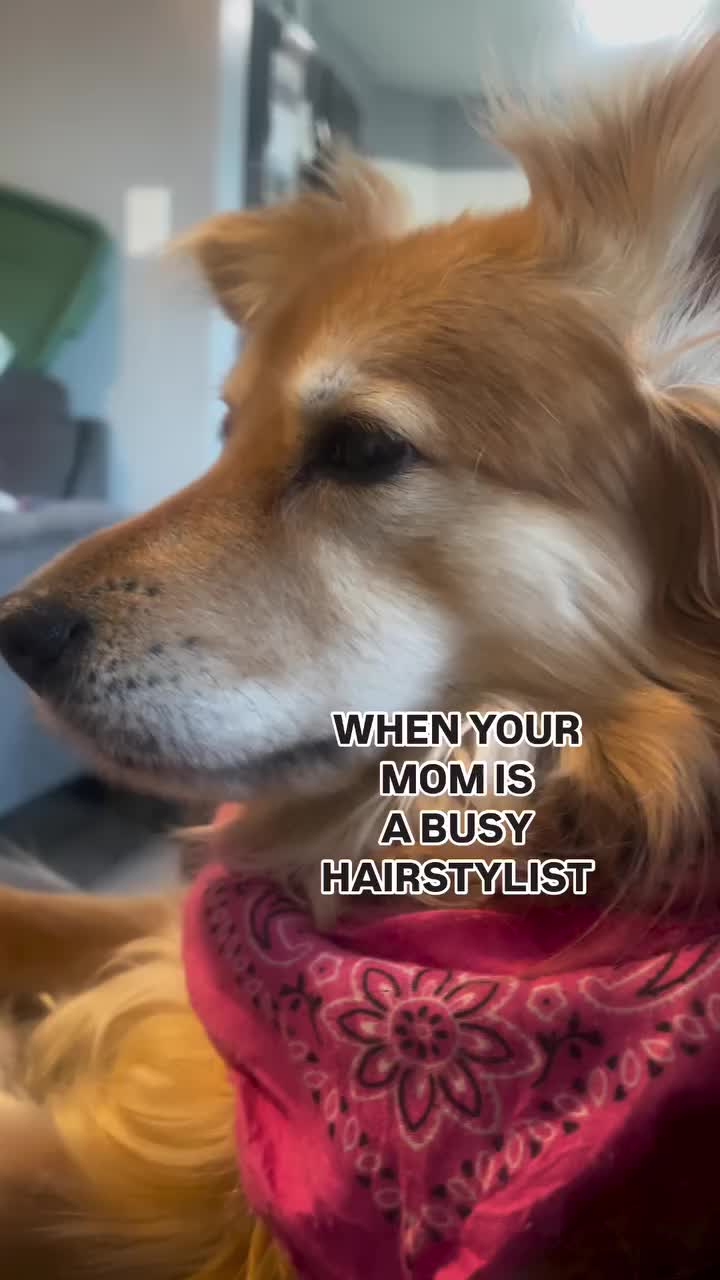 @thegroundedhairdresser