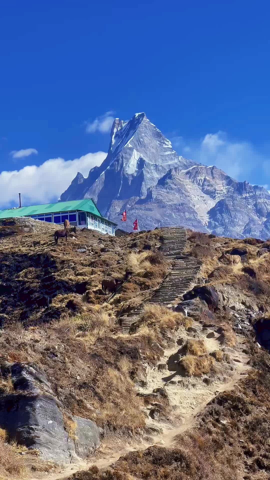 @यात्रा