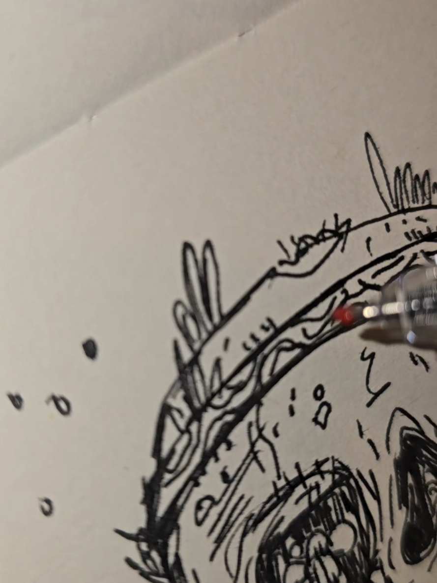 @iarylee doodle studio
