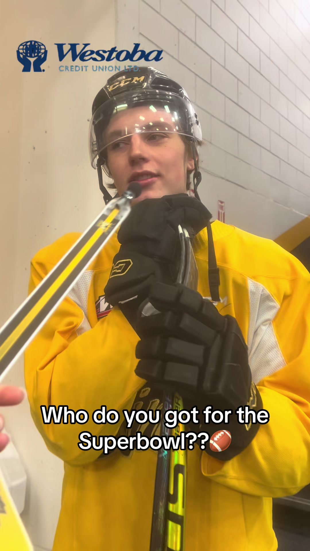 @Brandon Wheat Kings