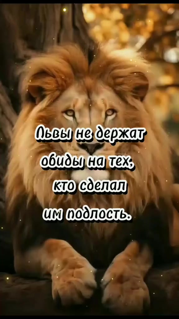 @👑 🦁 KING LION🦁👑