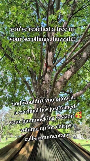 @🐢jenerally speaking✨ | tarot