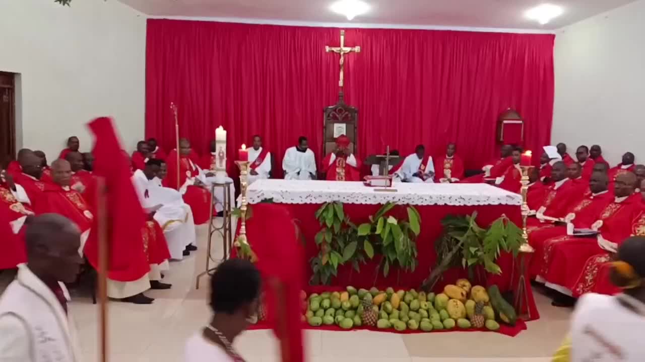 @Ayiti Tout Tan