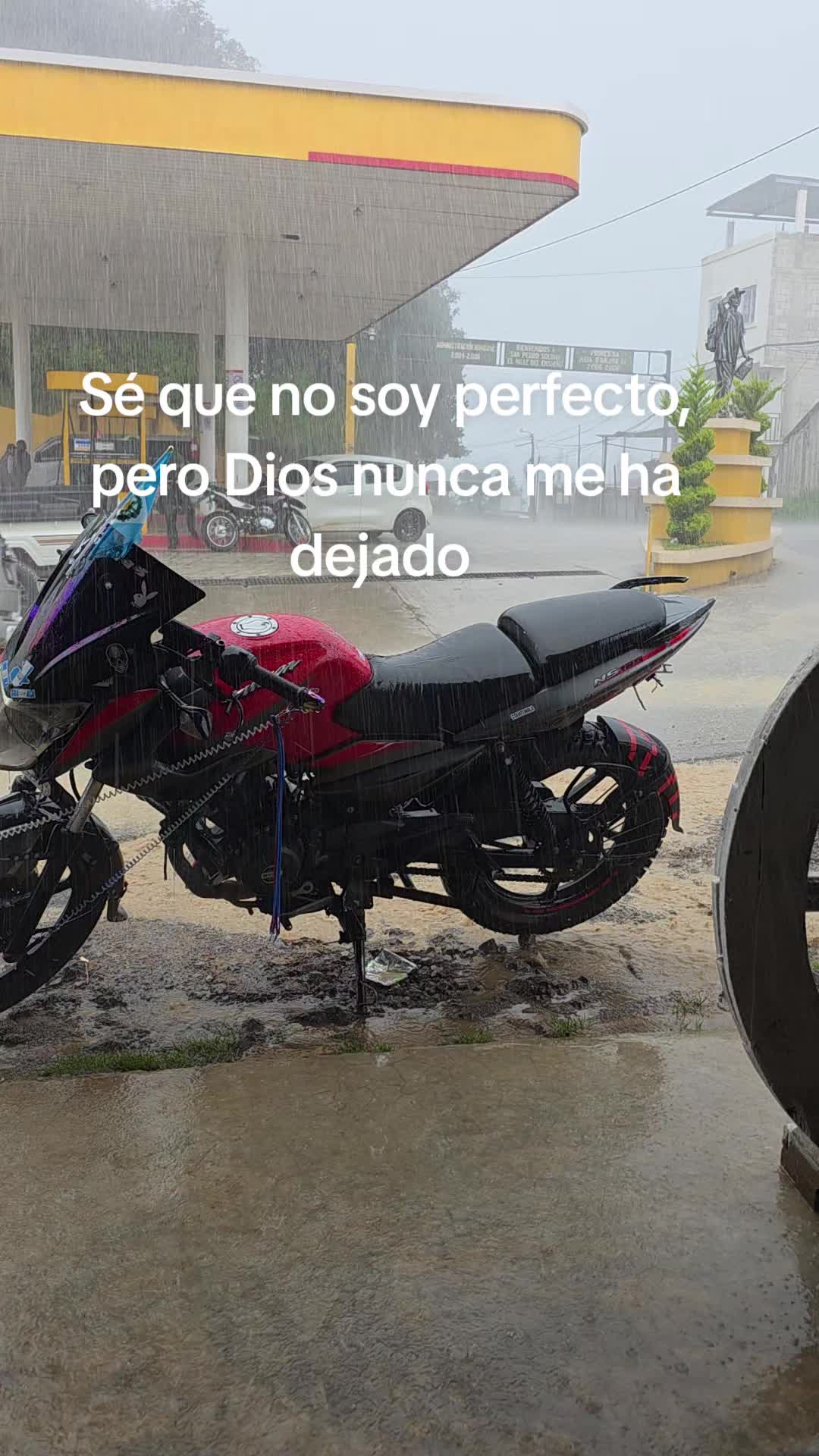 @sebas martin3033