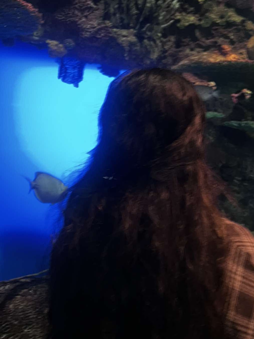 @𝐾𝑖𝑟𝑎𝑛 ♡︎