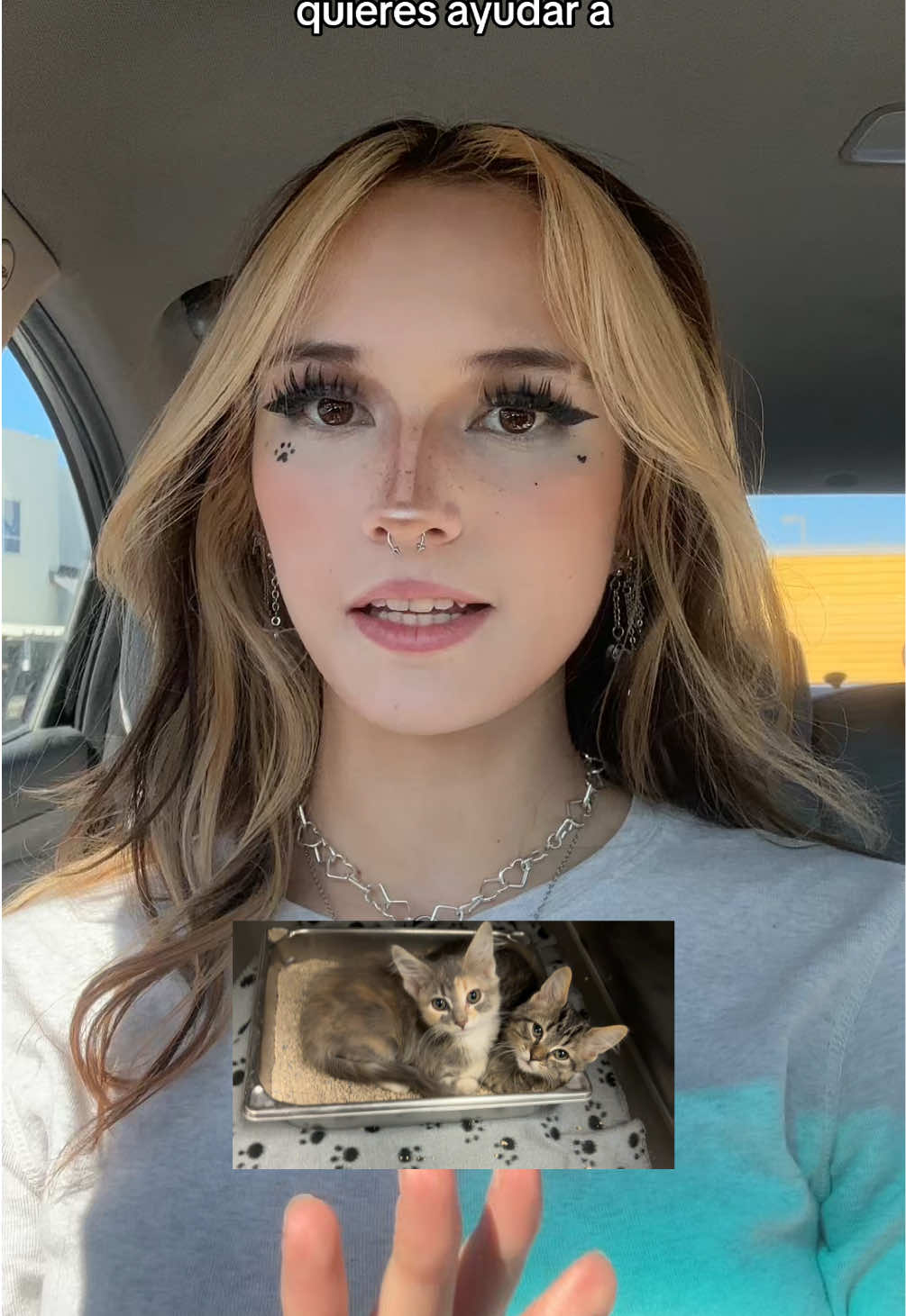 @sofifiissleepy