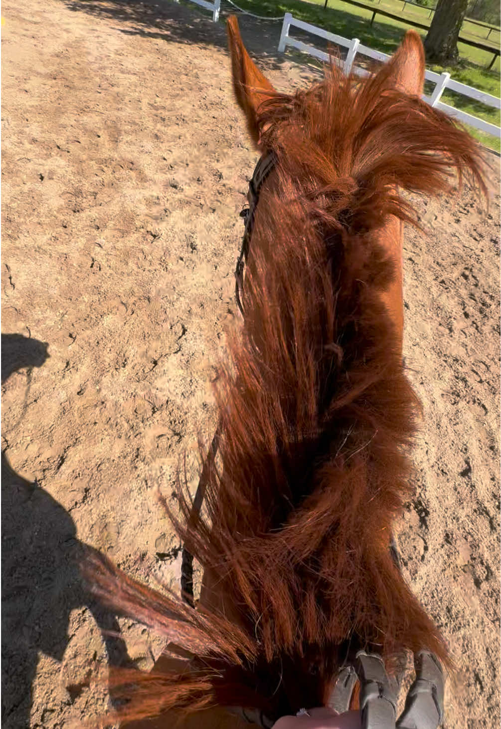 @ella_eqacc