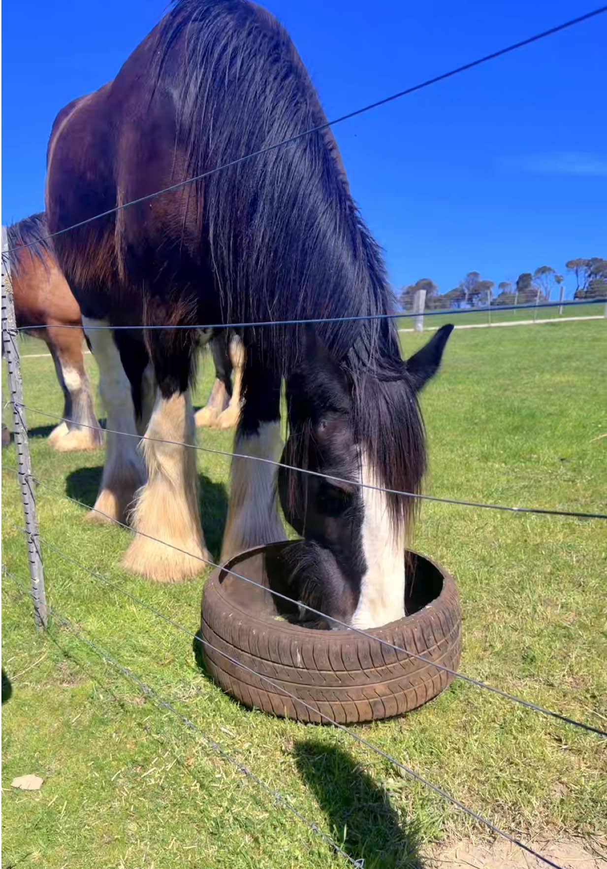 @AussieMoments 🇦🇺