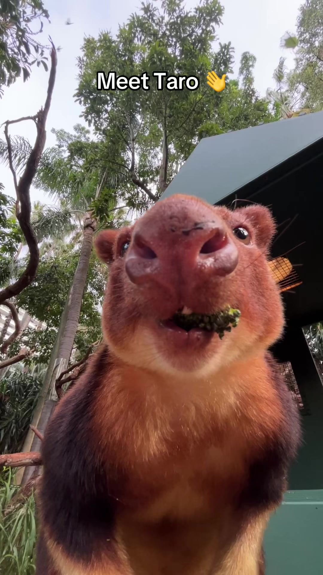@Perth Zoo
