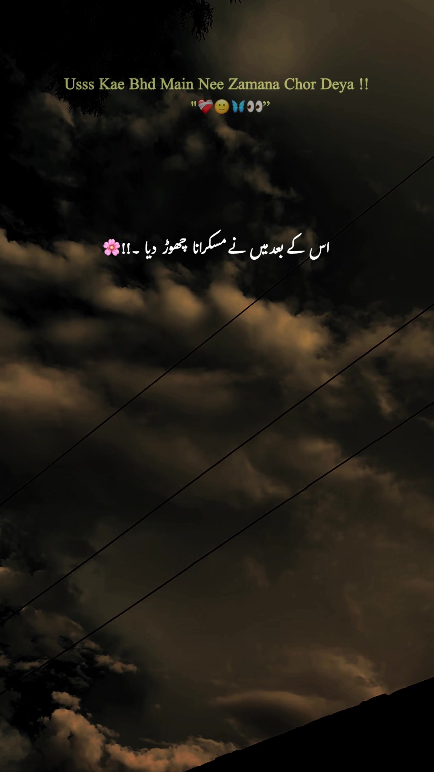 @-🕊️