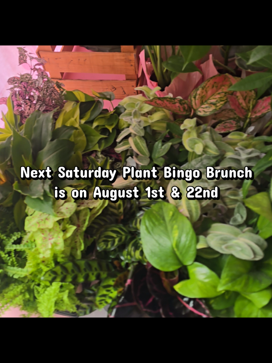 @ThePlanterPopUp