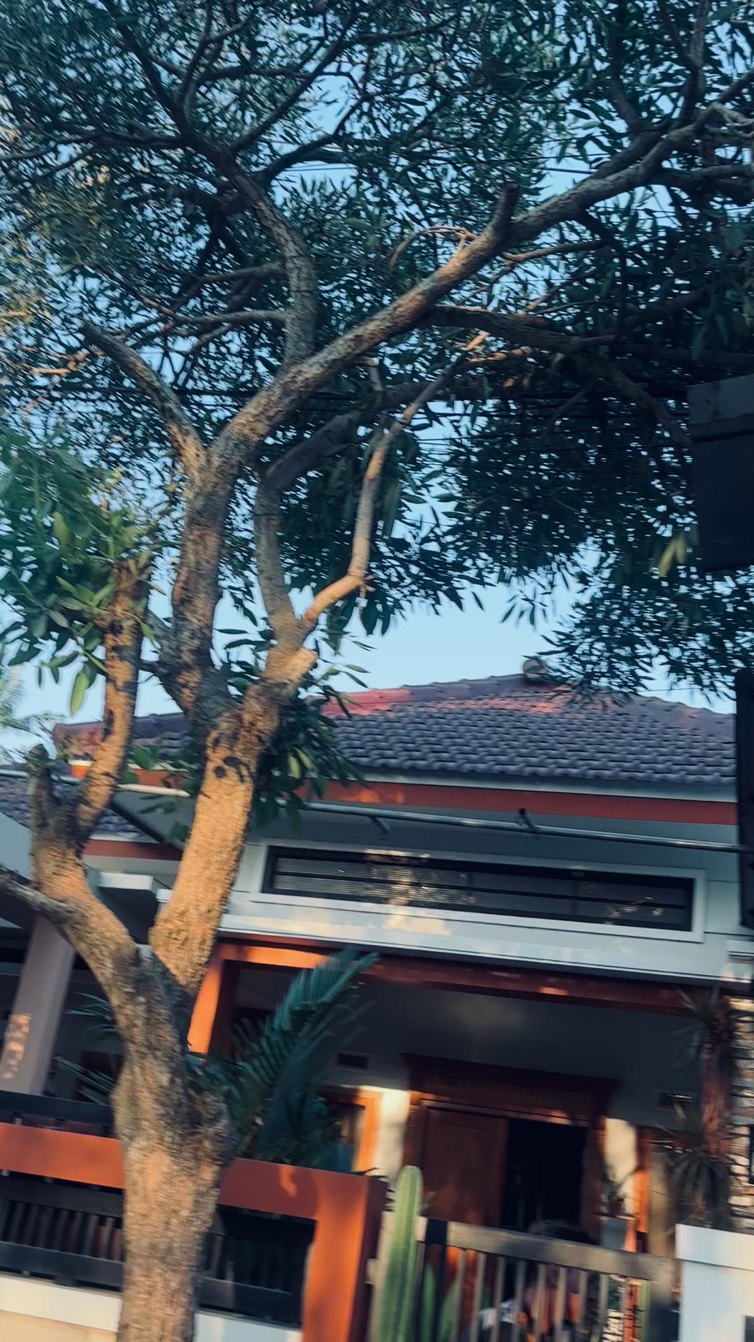 @darrelanjng