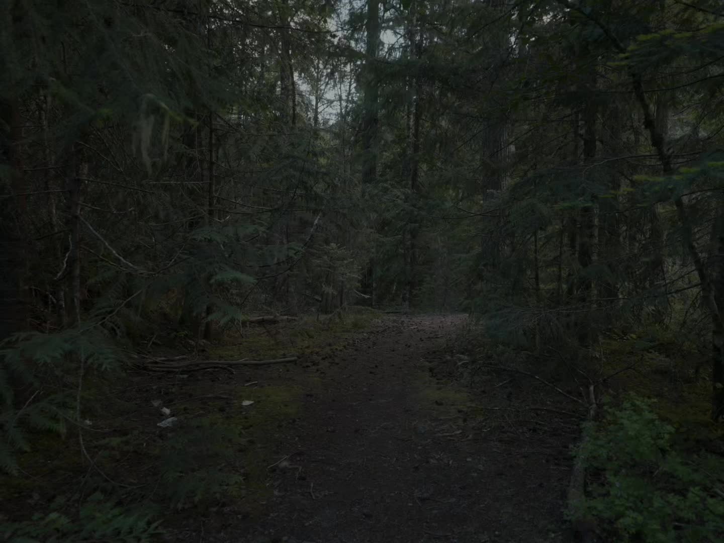 @Nxdvisuals