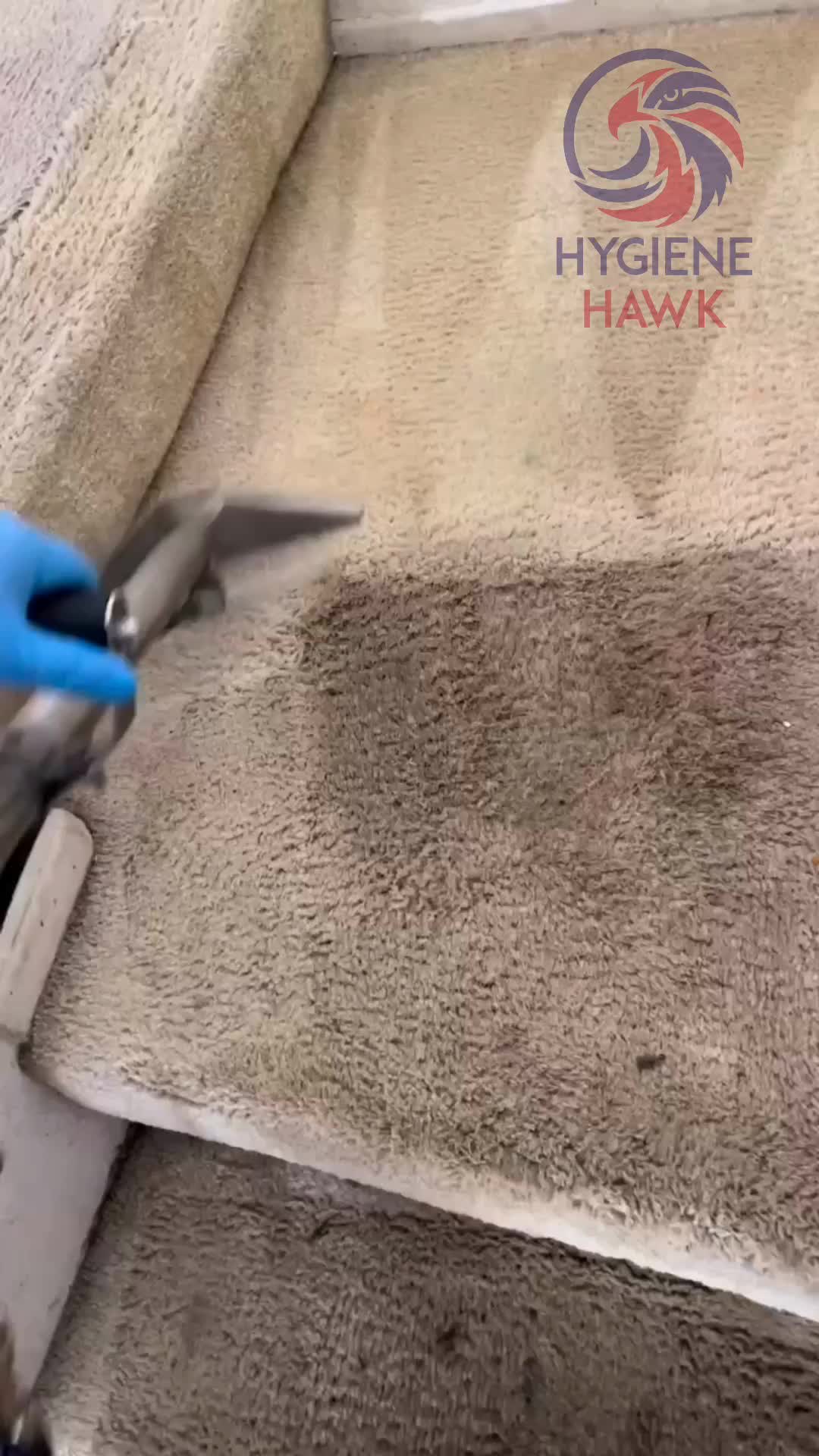 @hygienehawk
