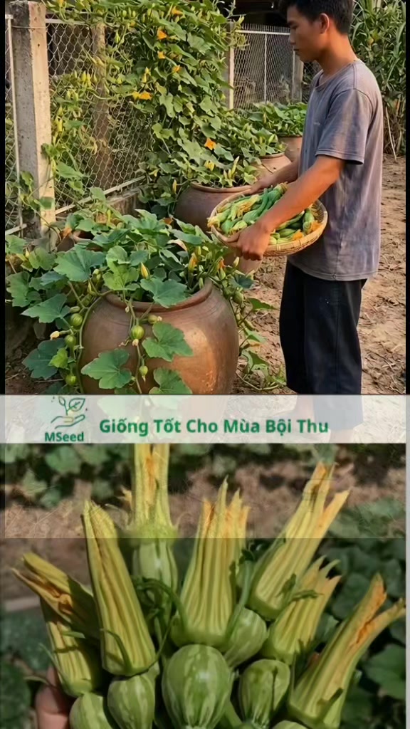 @tới đồ d&ugrave;ng