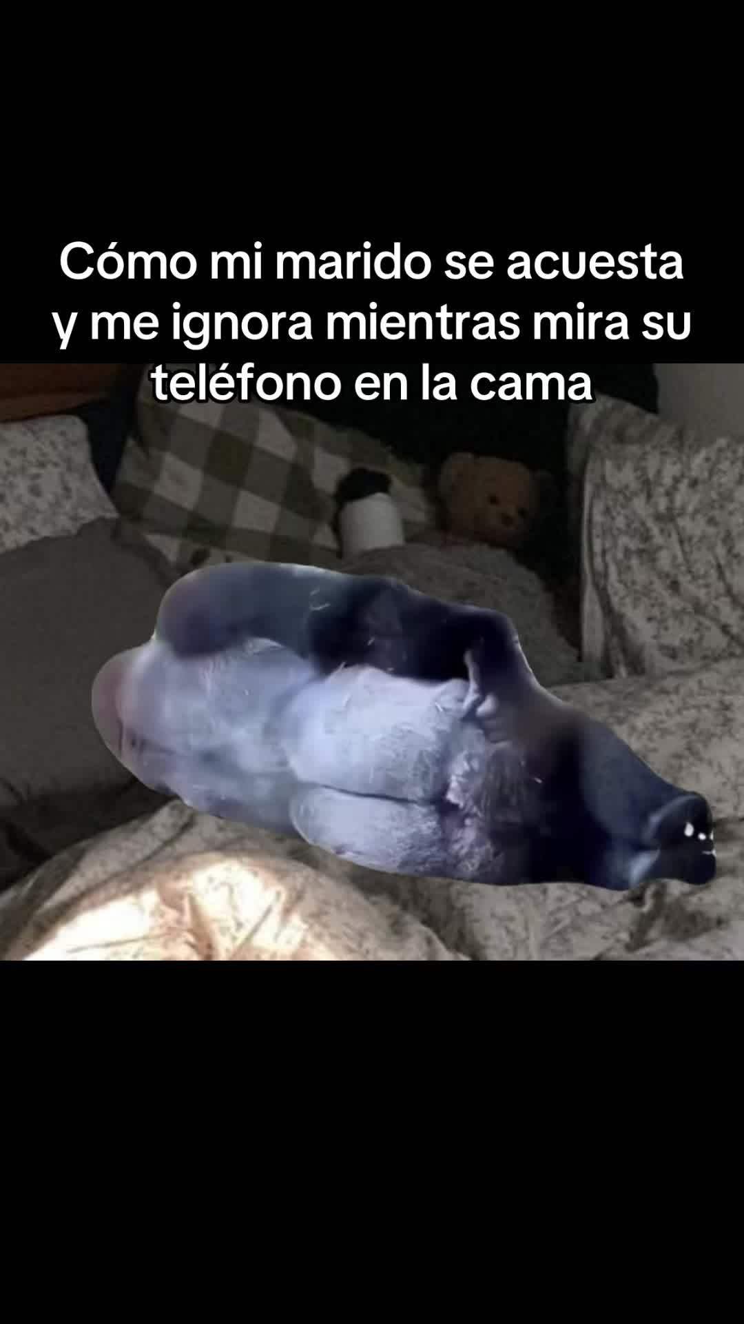@AmorInfiny