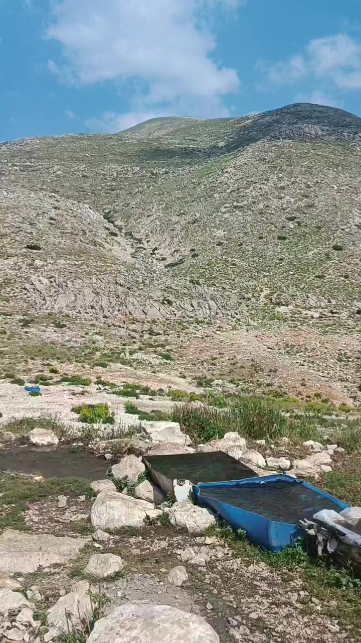 @Nazif Geriş