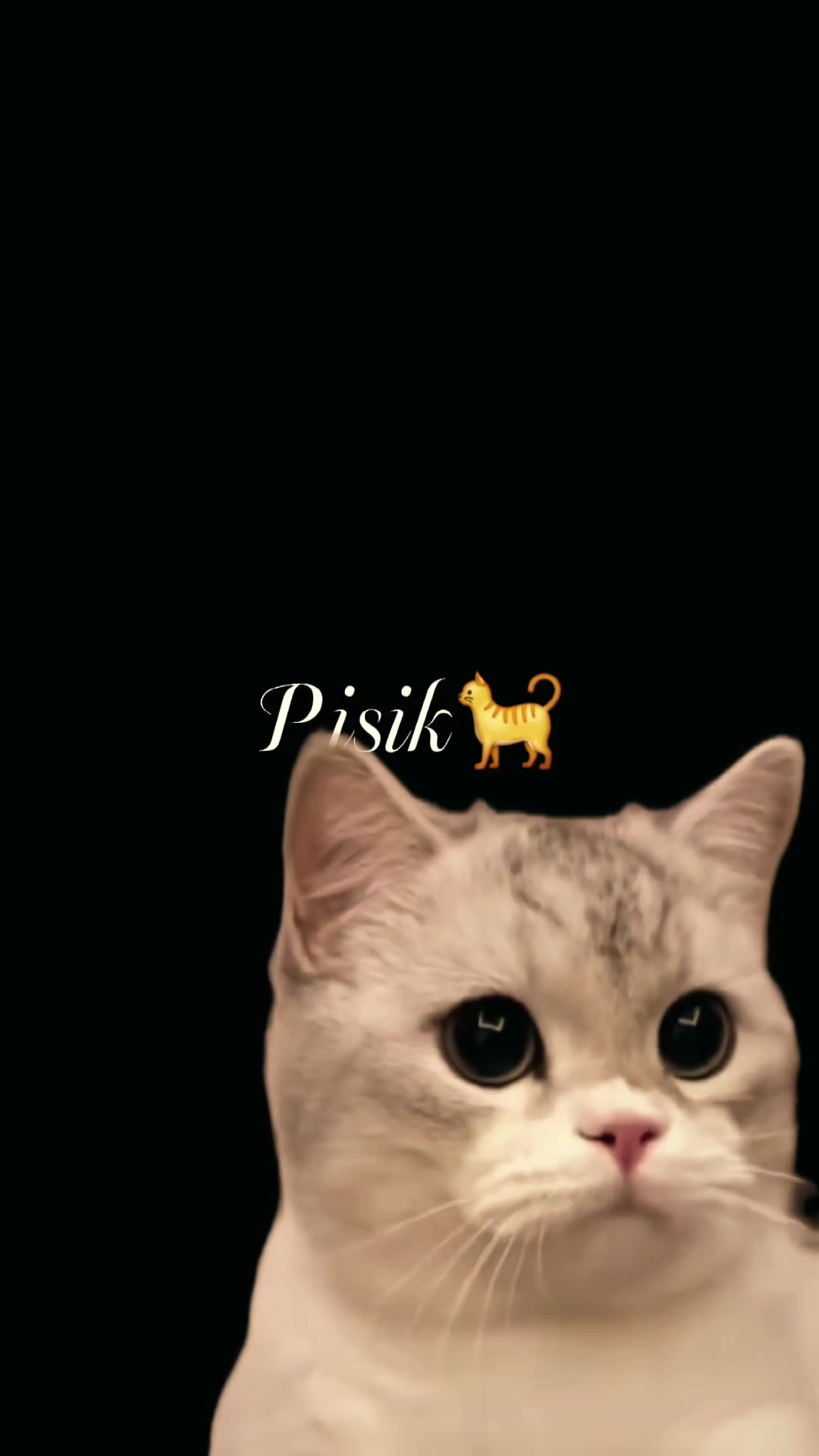 @๐๐ฎ๐ป๐ณ๐ฎ๐ท๐๐งก