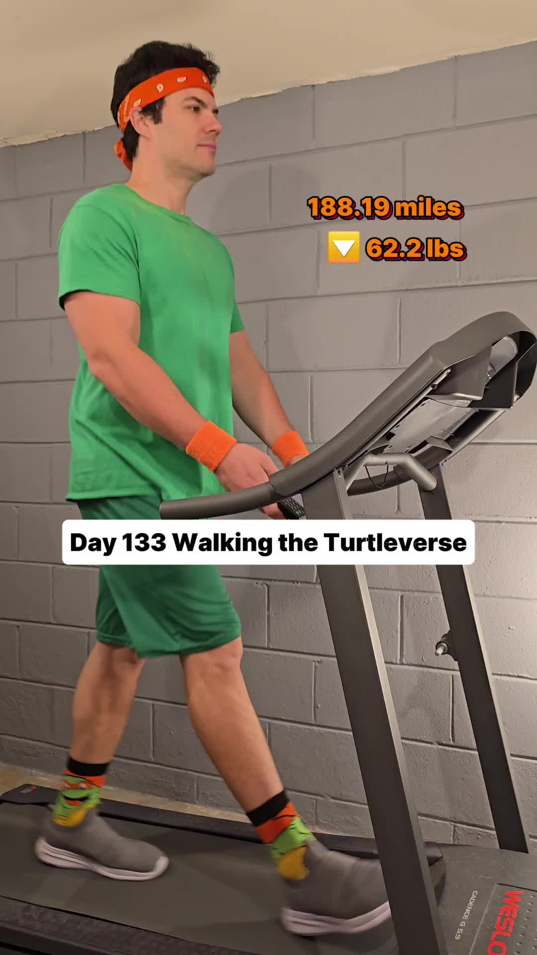 @Walking the Turtleverse