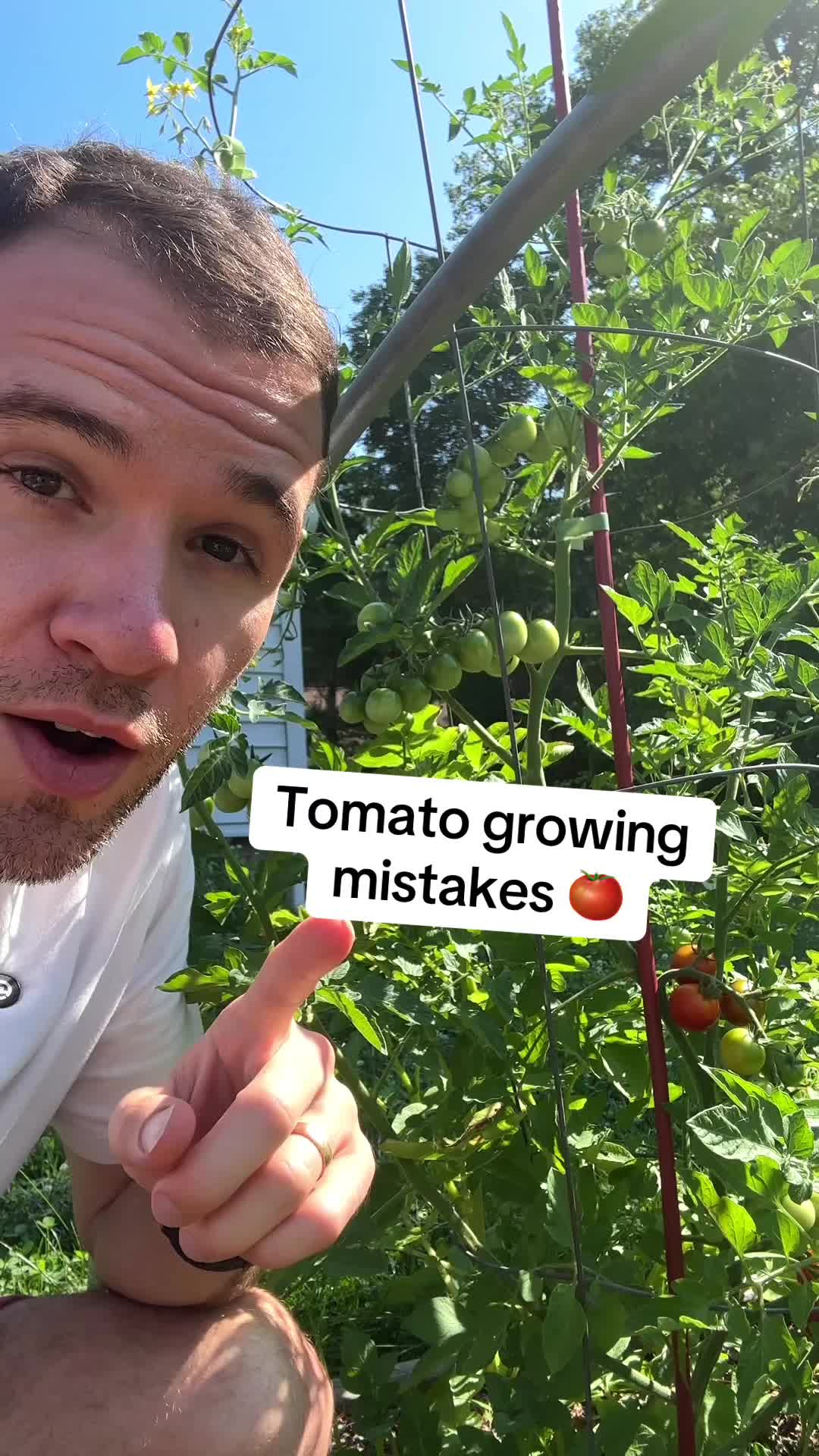 @Geeky Greenhouse / Pepper Geek